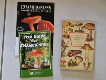 Livre et guides pratiques sur les champignons