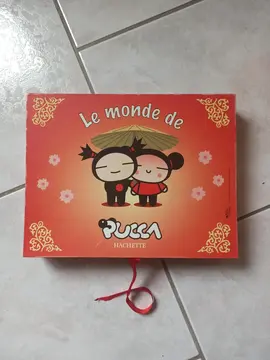 Boîte déco rangement Pucca