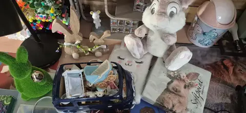 collection lapin avec jouet