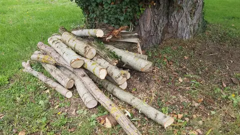 Bois de chauffage
