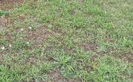 Terre de jardin 4 m 3