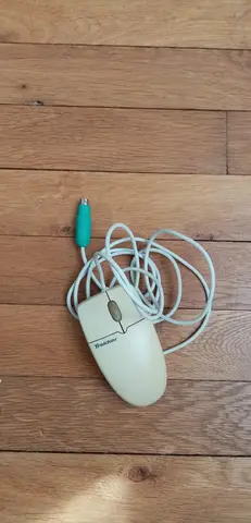 Souris filaire