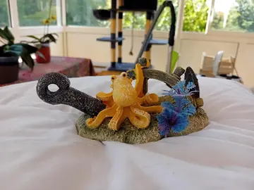 accessoires pour poissons
