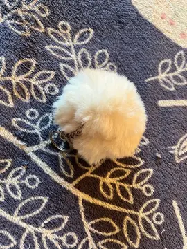 Pompon porte-clé