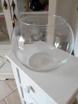 aquarium ron dpour poissons