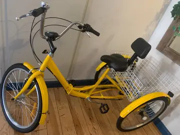 Tricycle adulte (roues 24 pouces)