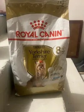 sac de croquettes Royal Canin chien Yorkshire plus de 8 ans à peine entant,
