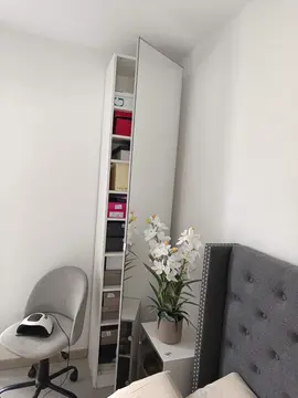 armoire mirroir h235p38l50
