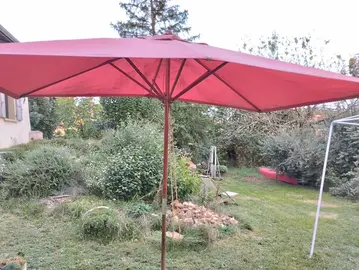 parasol