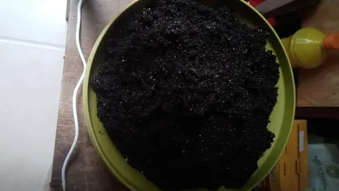 gravier noir pour aquarium