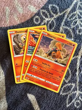 Lot Carte Pokémon