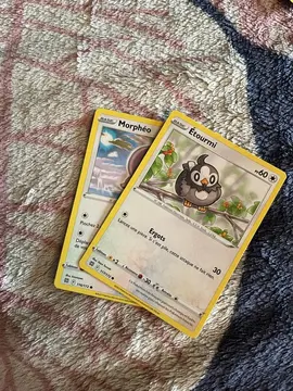 Lot Carte Pokémon