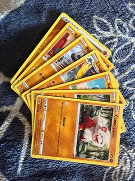 Lot Carte Pokémon