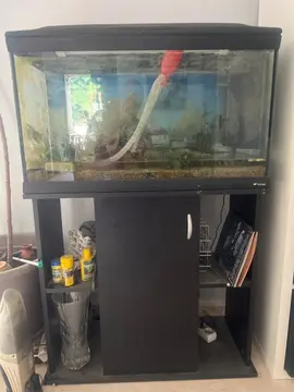 aquarium 80l