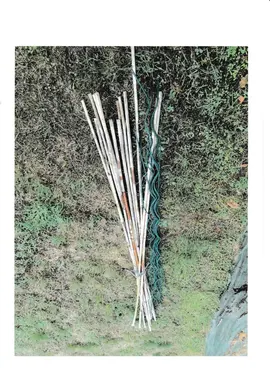 tuteurs bambou & spirale fer