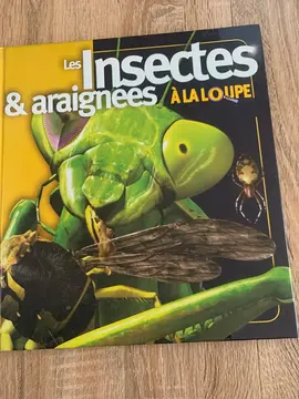 livre les insectes et araignées à la loupe