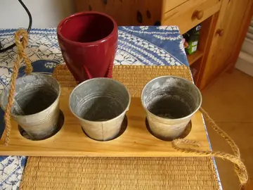 Pots pour petites plantes