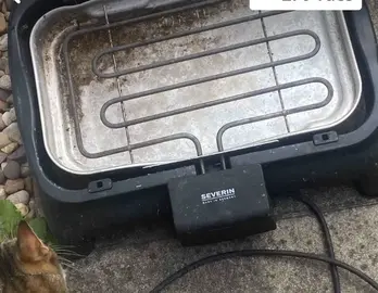 barbecue électrique dectable