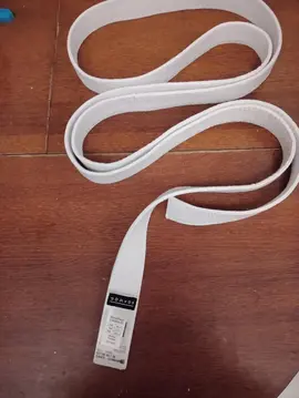 ceinture adulte judo