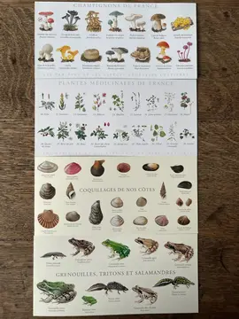 cartes de vœux