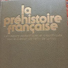 La préhistoire française