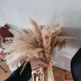 fleurs sechees