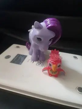 petit poney