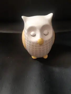 sujet hibou