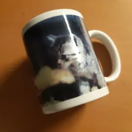 Mug 1