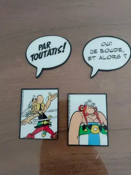 Aimants Astérix