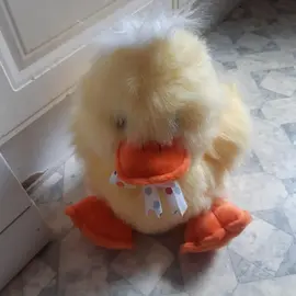 Peluche poussin
