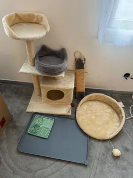 accessoires pour chat