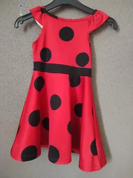 robe/déguisement miraculous