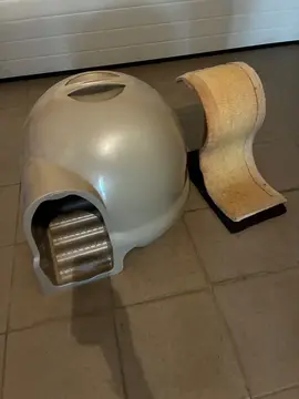 litière et griffoir chat