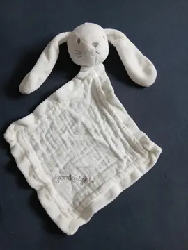 doudou lapin