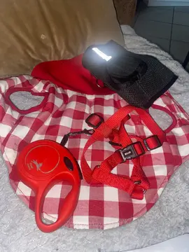 accessoire animaux