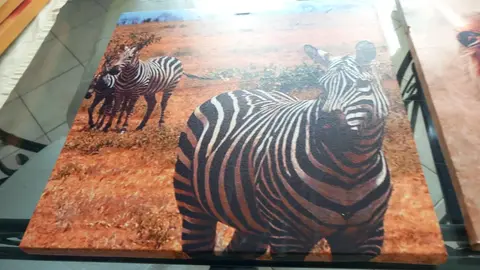 lot de deux cadres en toile style savane