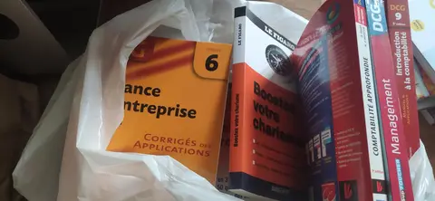 lot important manuels scolaires