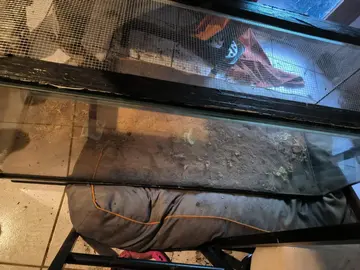 URGENT aquarium