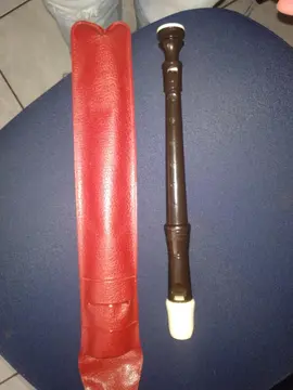 flûte a bec