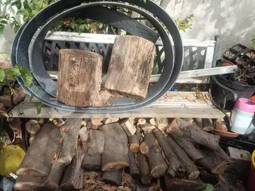banc de jardin