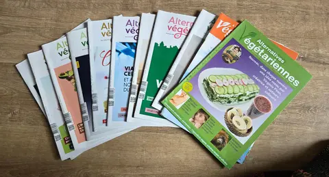 lot de 11 magazines