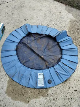 piscine pour chien