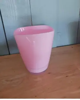 vases roses