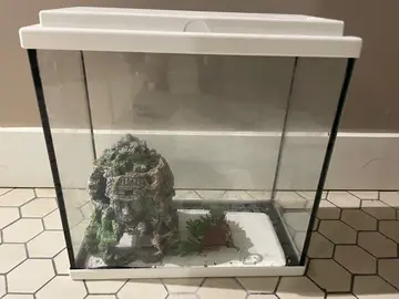 aquarium