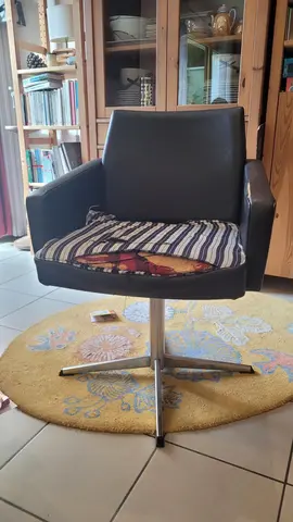 Fauteuil