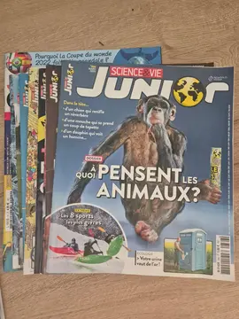 Lot Junio