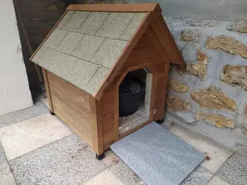 Niche petit chien isolée