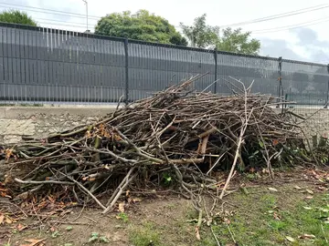 petit, bois de chauffage