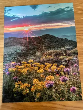 2 affiches sur papier 30 sur 40 cm